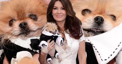 Lisa Vanderpump Pets Luncheon