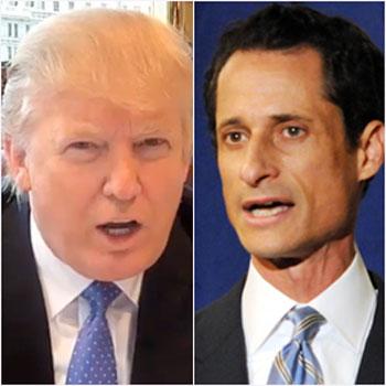 //trump_weiner_ _splashnews