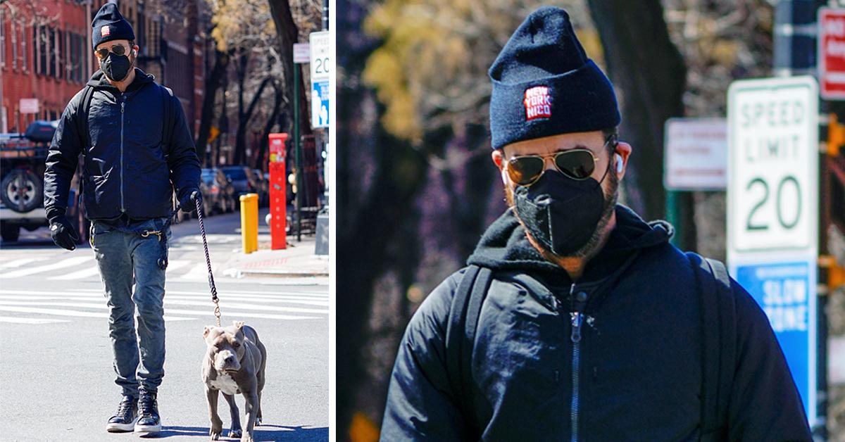 hp justin theroux walking dog kuma in nyc