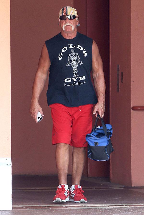 Hulk Hogan Spotted For First Time Since Racism Scandal