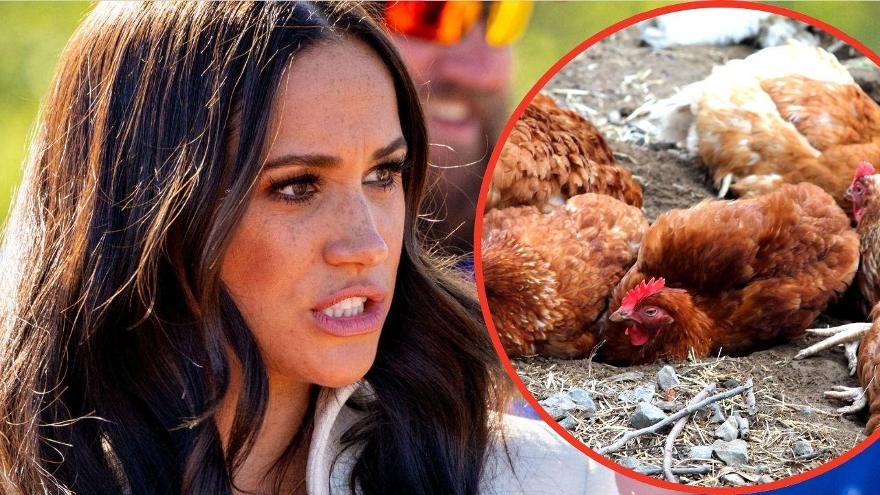 Photo of Meghan Markle and chicken