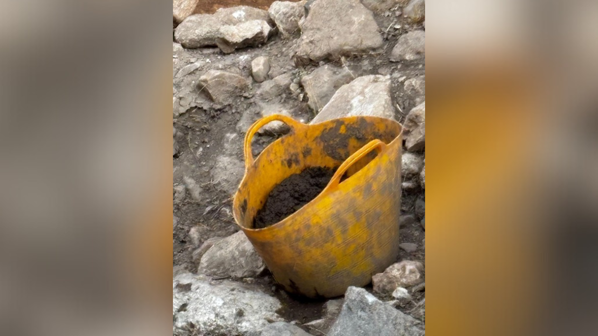 valerie juliet valdez circle inset image templates x px