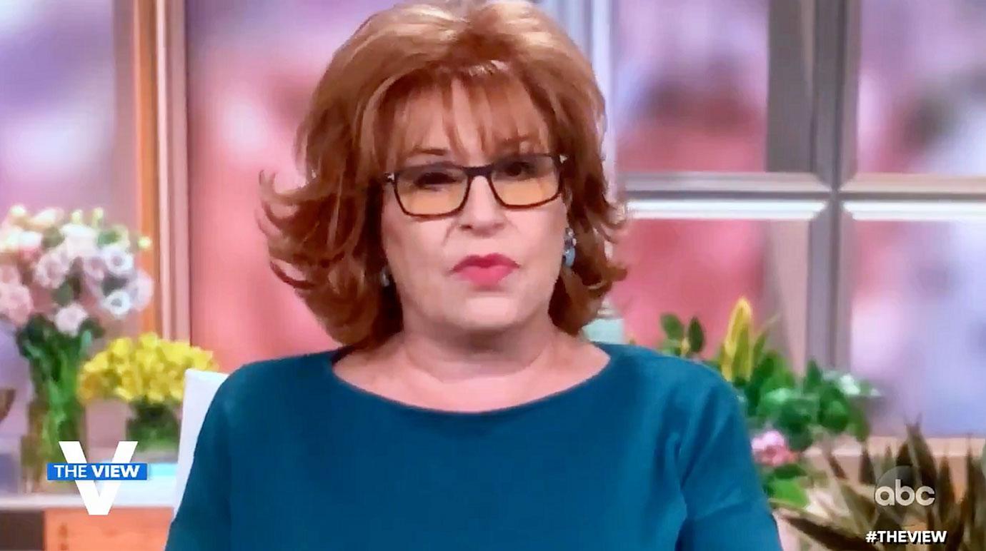 the view meghan mccain joy behar not speaking fight abc r