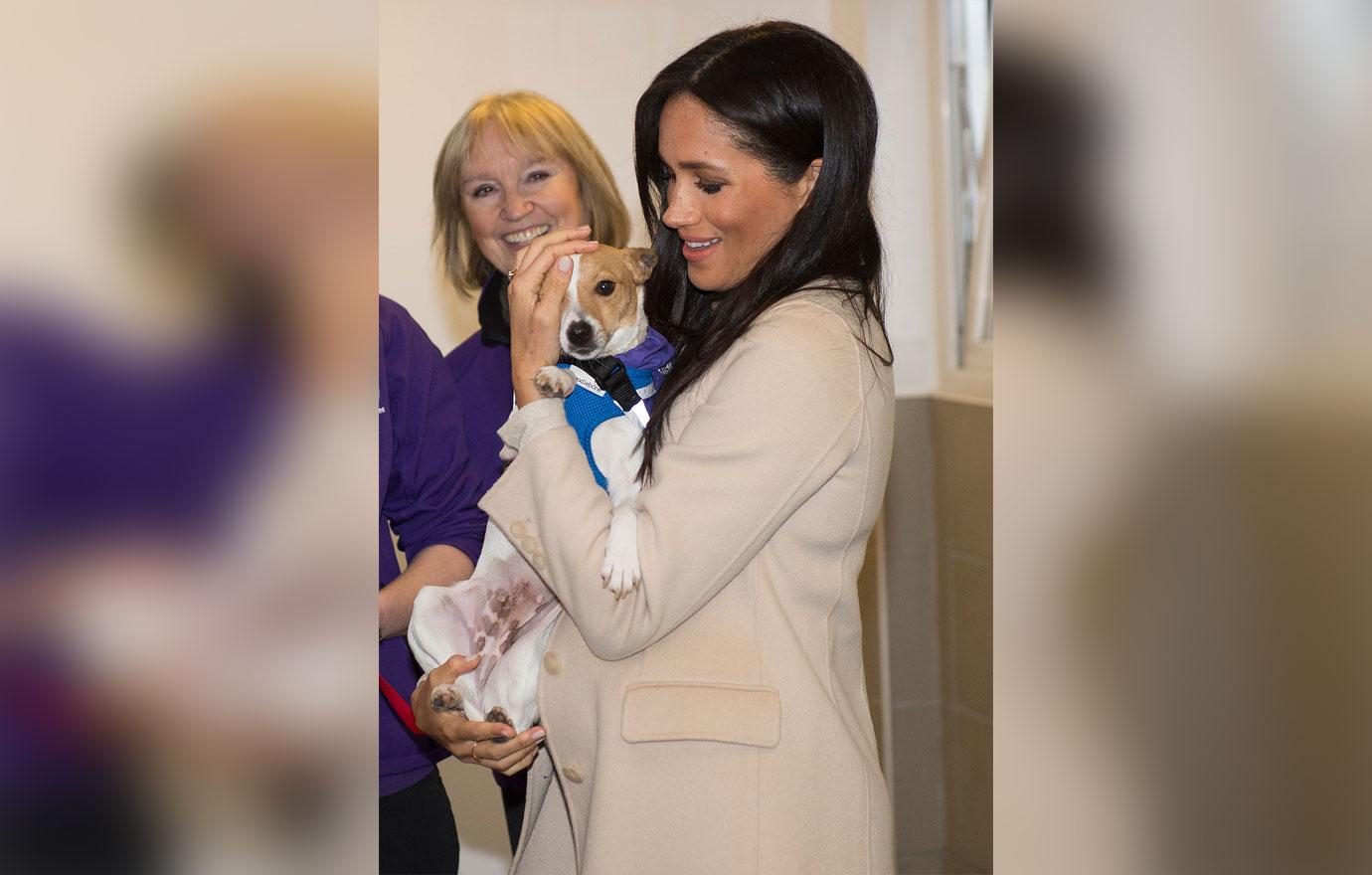 ‘Fat’ Meghan Markle Laughs Off Royal Insult During Animal Charity Visit