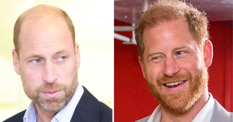 Prince William and Prince Harry