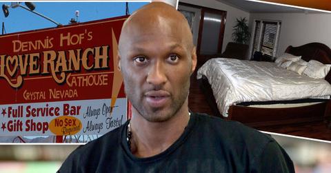 Lamar Odom Overdose Vegas Brothel Owner Mad Saved Life