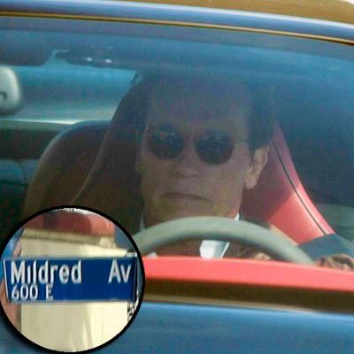 //arnold_driving_ _flynet