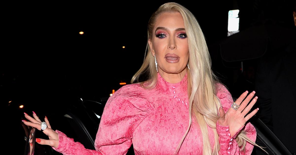 Erika Jayne's Net Worth In 2022: How The 'RHOBH' Star Makes Money