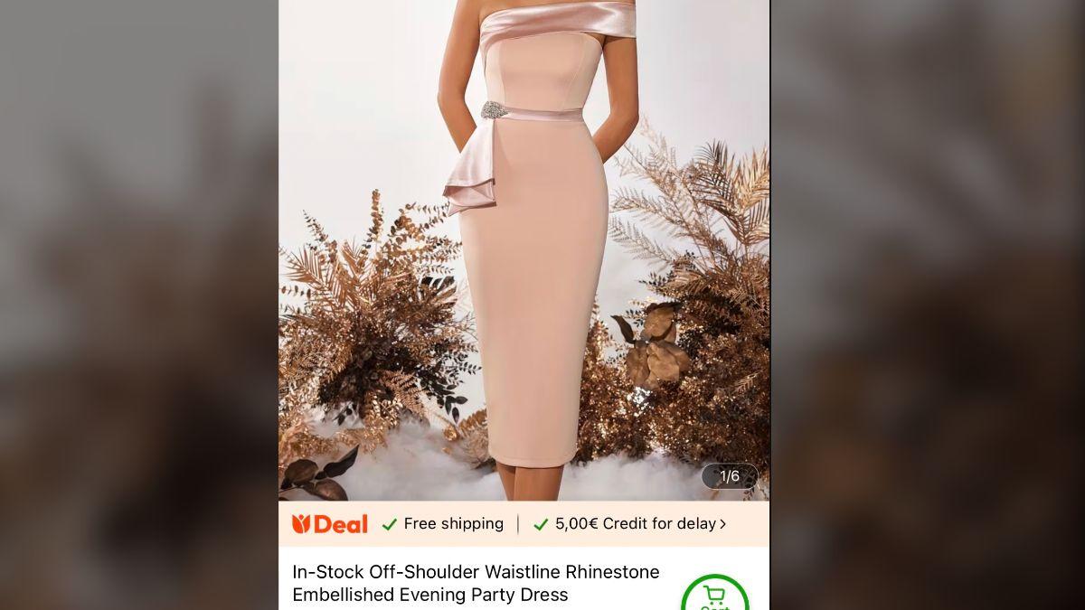 Photo of Jennifer Rauchet Temu Dress