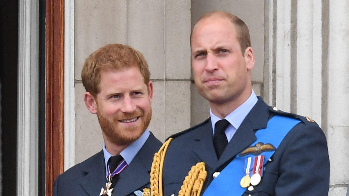 Photo of Princes William and Harry