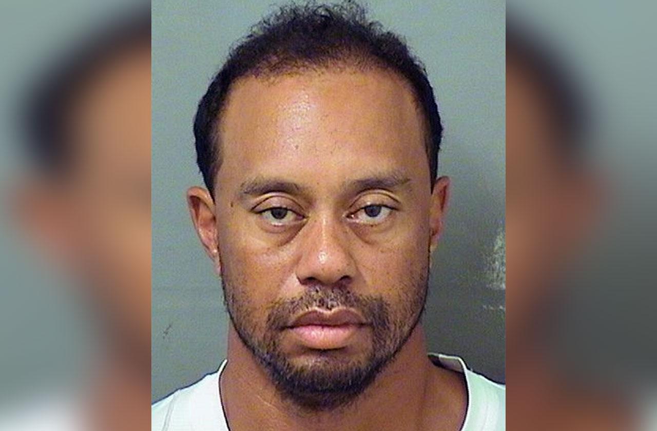 Tiger Woods DUI Told Cops He Took Xanax Vicodin