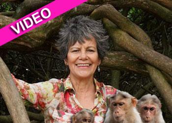 //marina chapman nc_