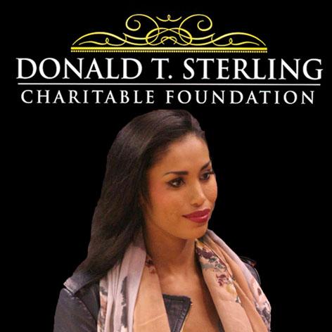 //v stiviano donald t sterling charity square