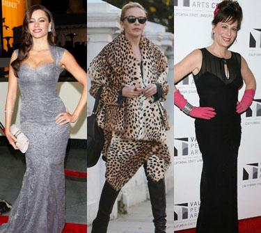 //dga_awards__wenn_ _