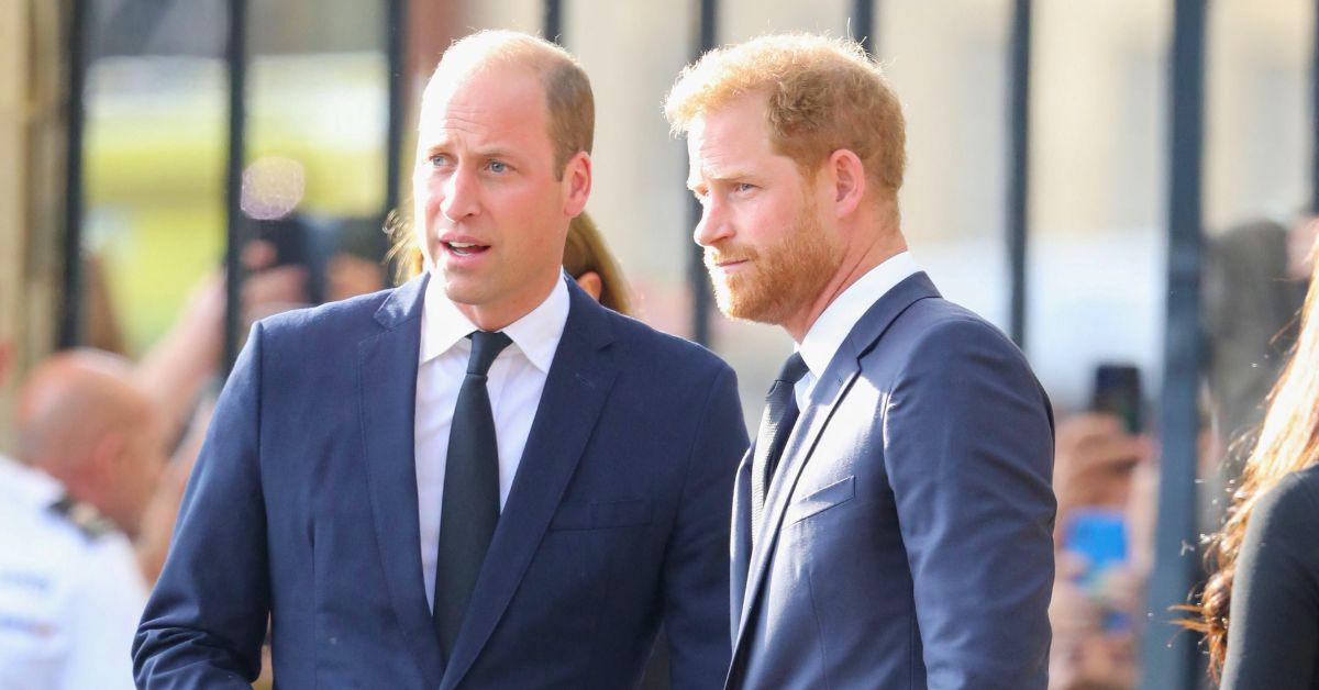 Photo of Prince Harry and William 