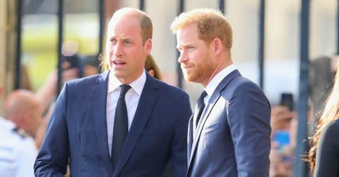 Photo of Prince Harry and William