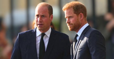 Photo of Prince Harry and Prince William