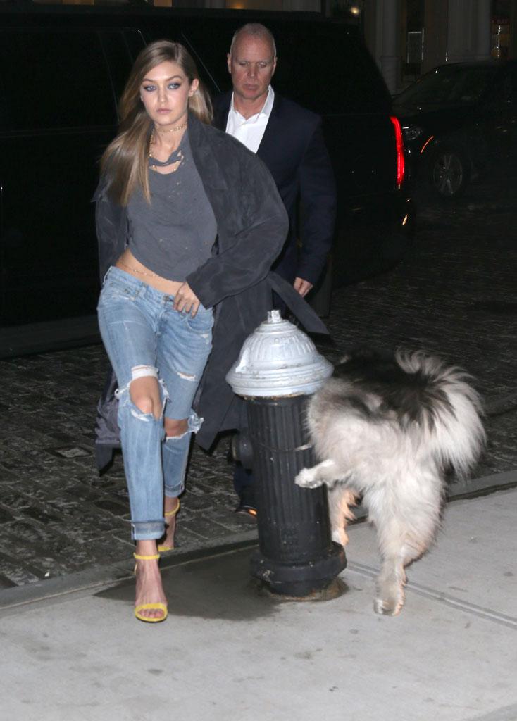 Gigi Hadid Dog Pee Accident NYC