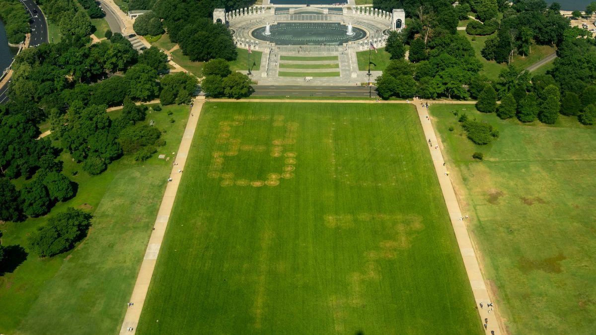 Another vandal is being blamed for poisoning the grassy mall with the numbers '8647'.