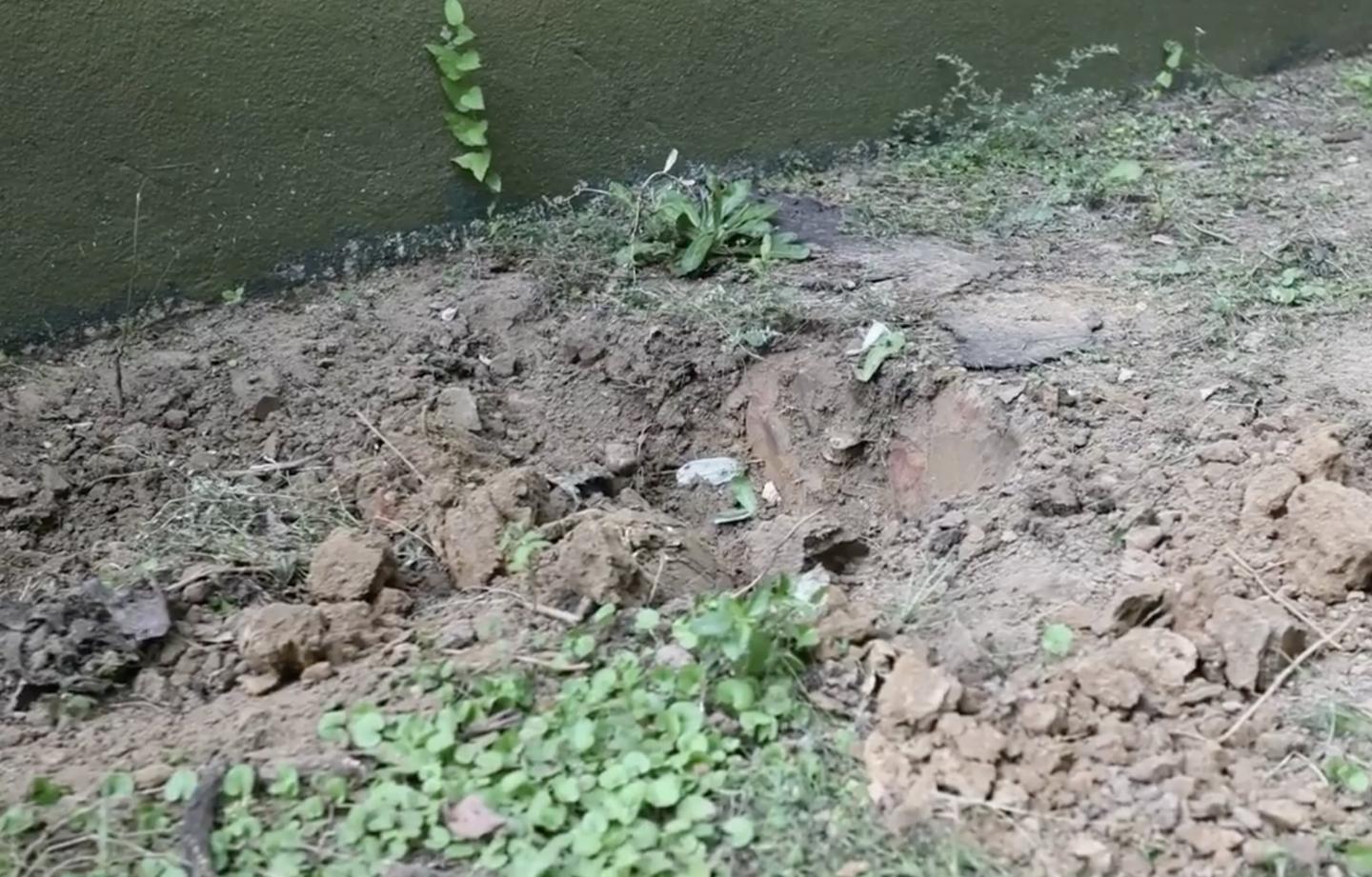 Eliza Fletcher Photos See The ‘Shallow Grave’ Where Her Body Was Found