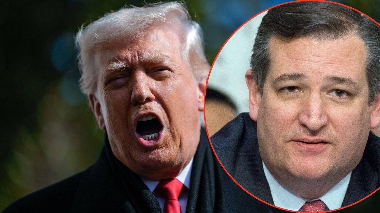 Photo of Donald Trump, Ted Cruz