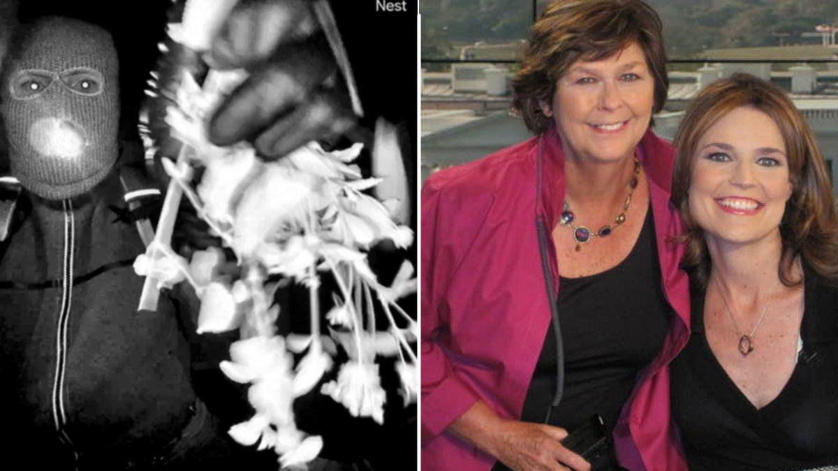 nancy and savannah guthrie and kidnapper