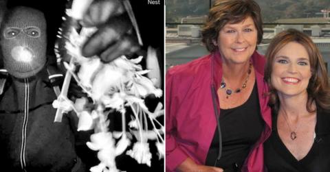 nancy and savannah guthrie and kidnapper