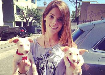 //pp_ashleegreenenewpuppies