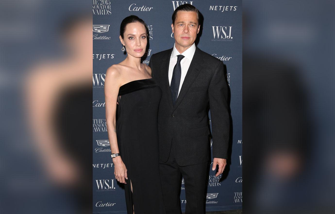 //brad pitt angelina jolie documentary secrets revealed