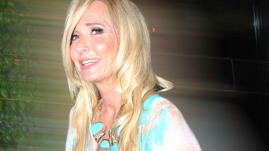 Kim Richards Drunk In Public Avoids Jail Attend 52 AA Meetings