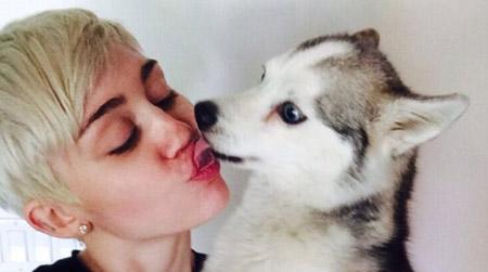 //miley cyrus floyd pp