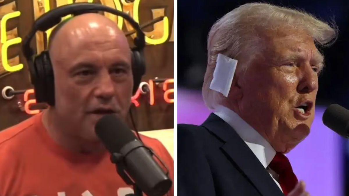 joe rogan, donald trump
