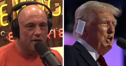 joe rogan, donald trump