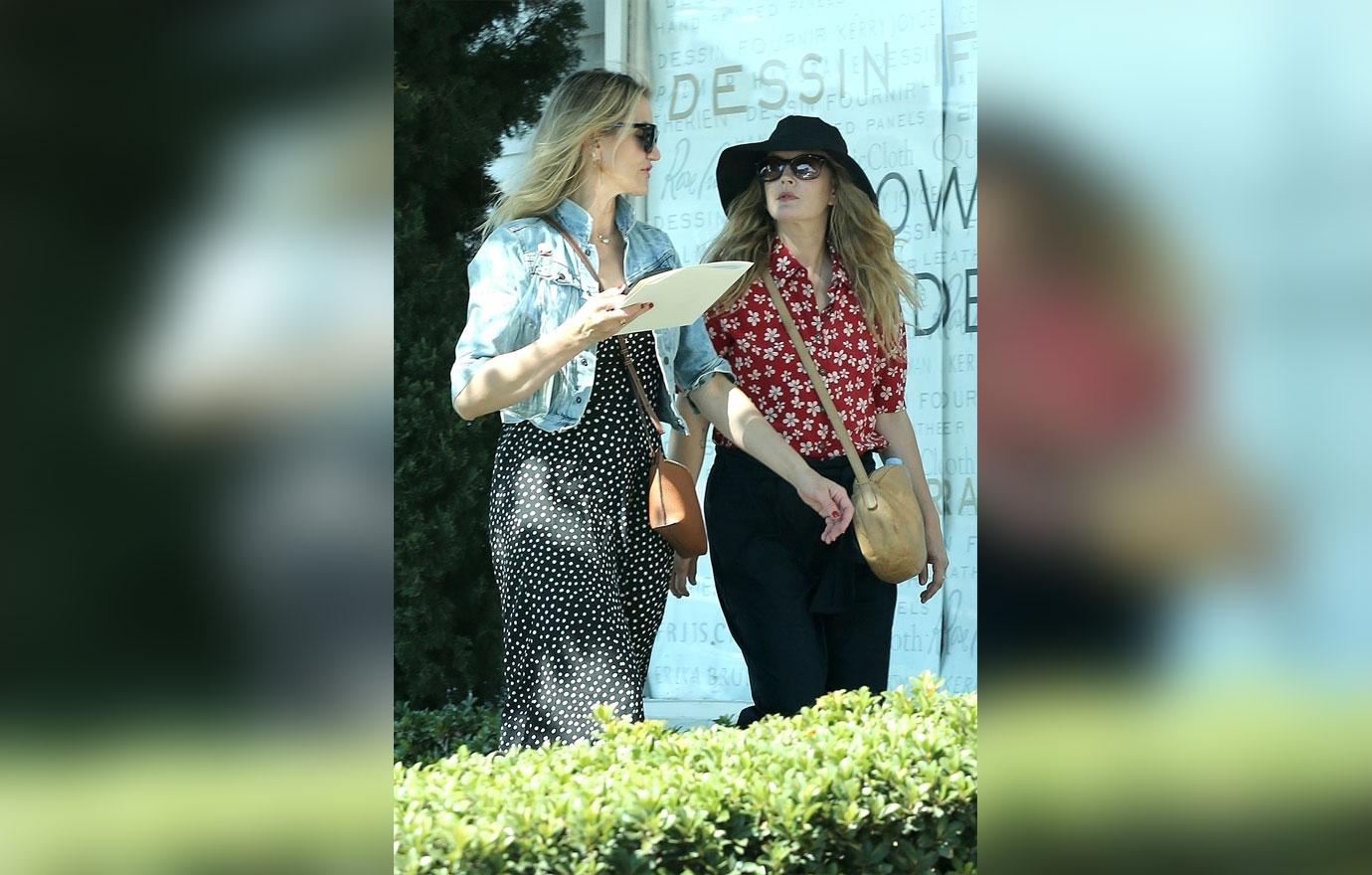 Cameron Diaz and Drew Barrymore Get Together