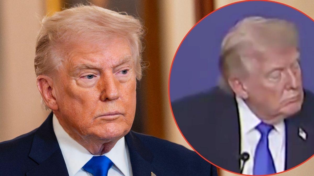 Photo of Donald Trump