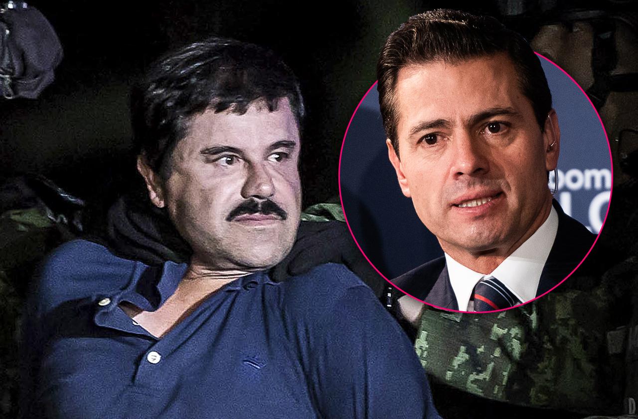 former mexican president accepted hundred million dollar offer from el chapo witness claims