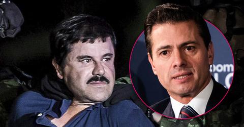 former mexican president accepted hundred million dollar offer from el chapo witness claims