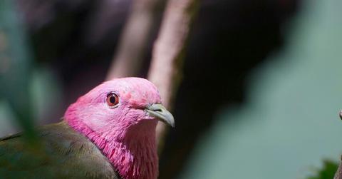 resultvijayalakshmi nidugondi ppxcwqzxo unsplash