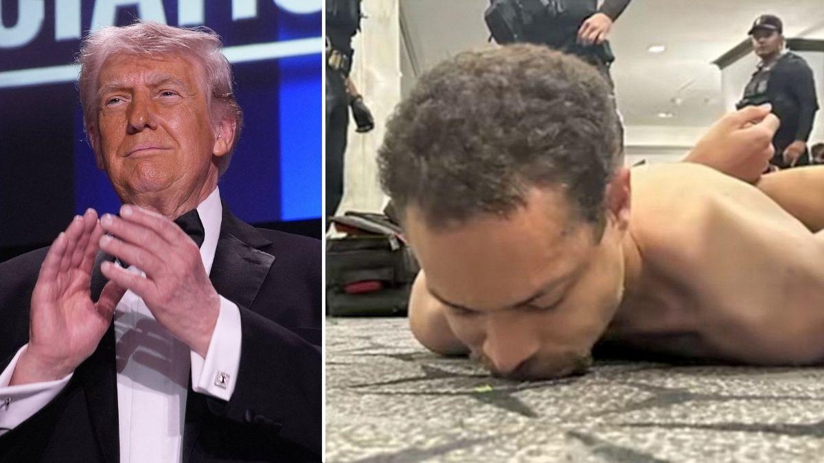 split image of Donald Trump and Cole Allen