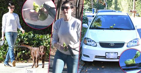 //anne hathaway drops doggy poop on paparazzos car wide