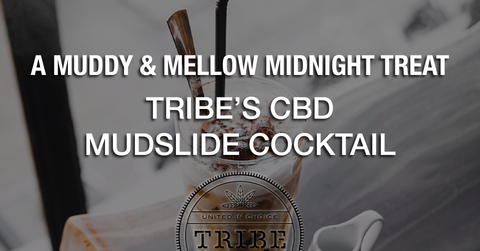 A Muddy & Mellow Midnight Treat – Tribe’s CBD Mudslide Cocktail
