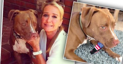 Kim Richards Lawsuit