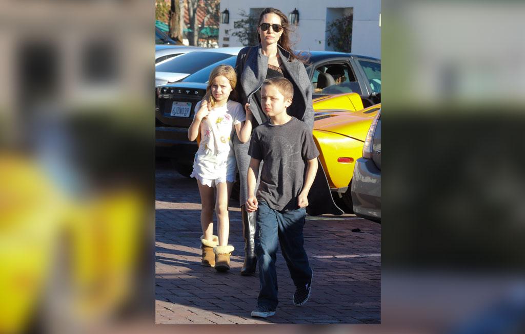 Brad Pitt Angelina Jolie Divorce Custody Battle Kids Twins Malibu Pics