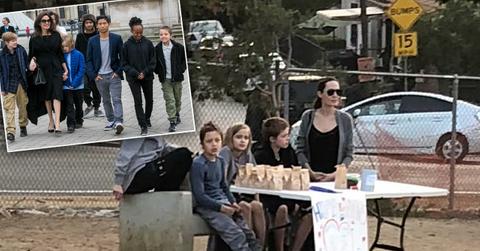 Angelina Jolie And Kids Sell Treats At Dog Park