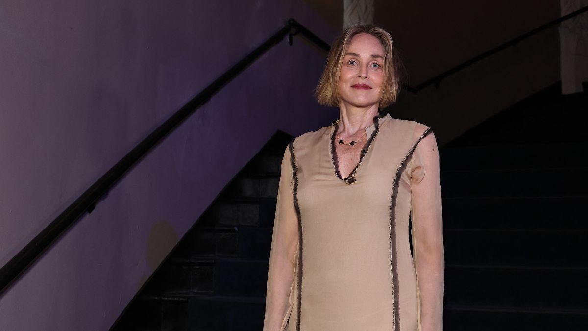 A photo of Sharon Stone