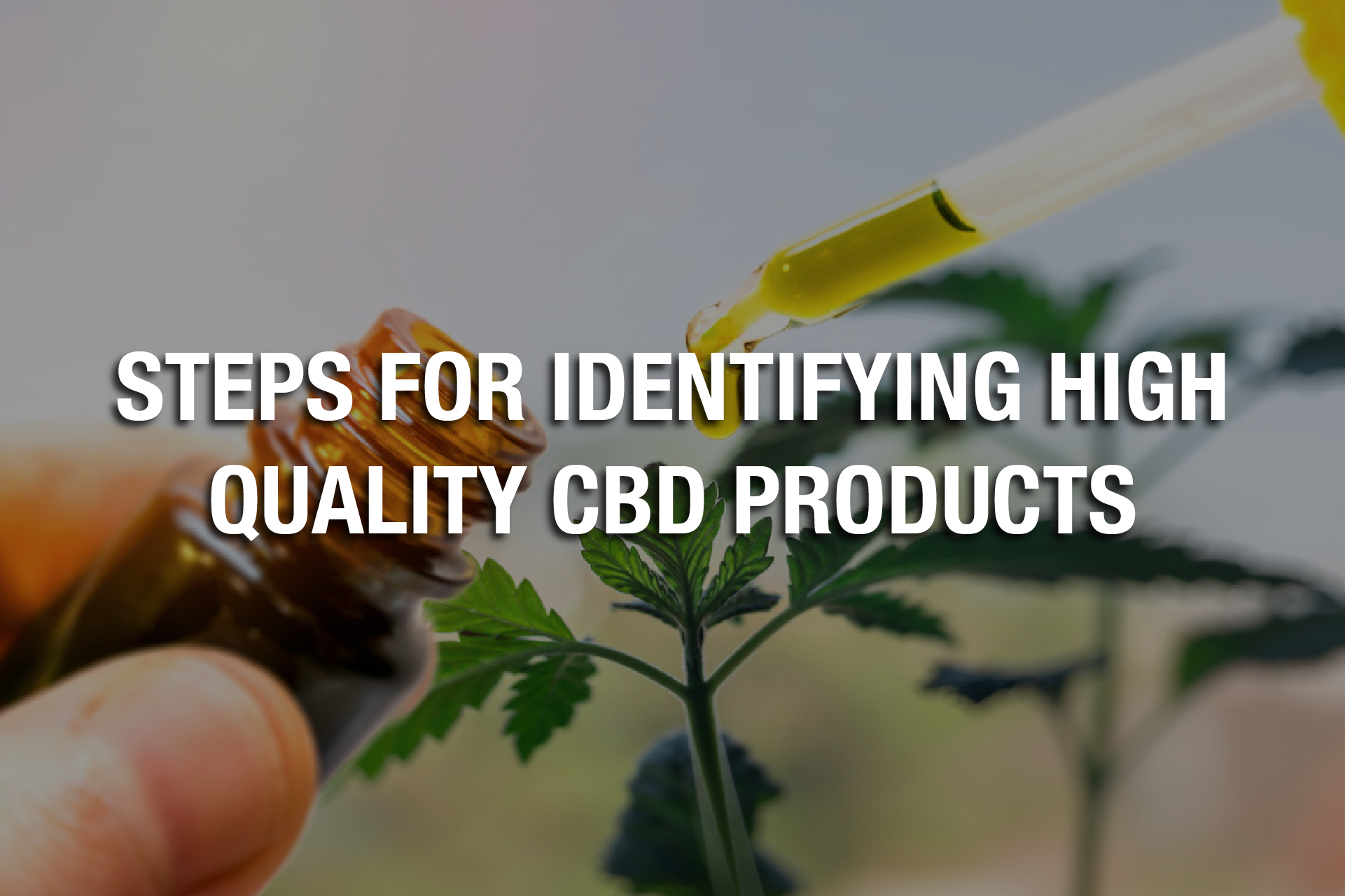 Steps for Identifying Good Quality CBD Products