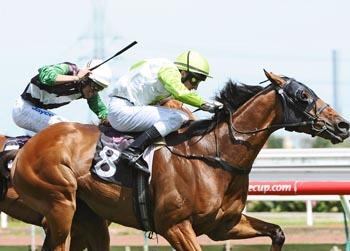 //luck lawsuit getty