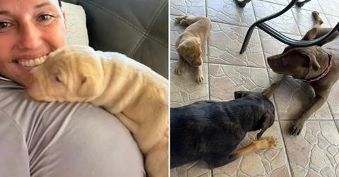 Malia Nummerdor has been called a 'bad dog parent' in the past.
