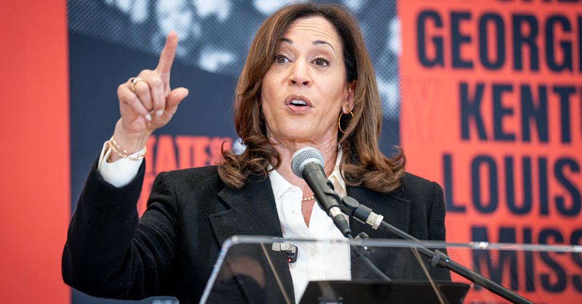 Kamala Harris' 2028 Presidential Ambitions Face New Blow — Former Backers Say Democrats Need a 'Fresh' Candidate and 'Not Imposed on the Voters'