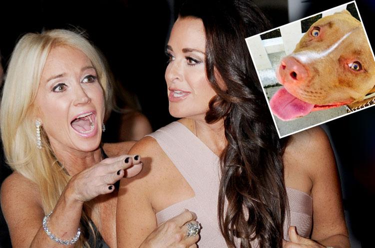 Kim Richards Kyle Richards Former Stylist Sues Pit Bull Attack